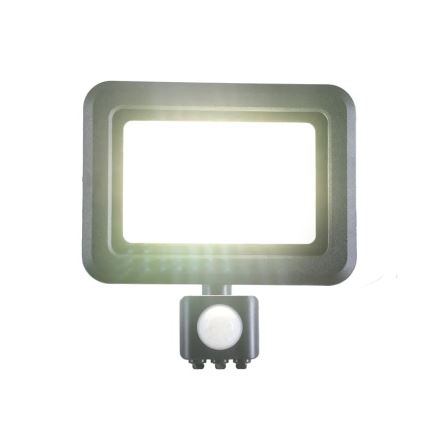 LED projektør med sensor LED/30W/230V 4000K IP44