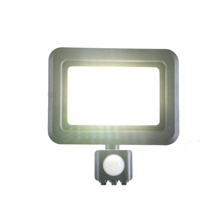 LED projektør med sensor LED/30W/230V 4000K IP44