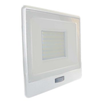 LED projektør med sensor LED/50W/230V 6500K IP65 hvid