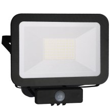LED projektør med sensor LED/50W/230V IP65
