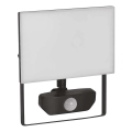 LED projektør med sensor TAMBO LED/30W/230V 4000K IP54