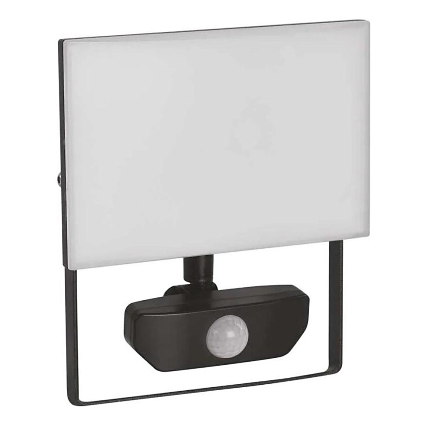 LED projektør med sensor TAMBO LED/30W/230V 4000K IP54