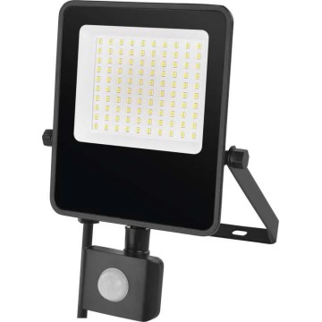 LED projektør med sensor VISIO LED/50W/230V 4000K IP65