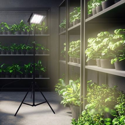 LED projektør med stativ til plantevækst FIRON LED/45W/230V IP54 sort