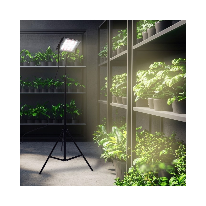 LED projektør med stativ til plantevækst FIRON LED/45W/230V IP54 sort