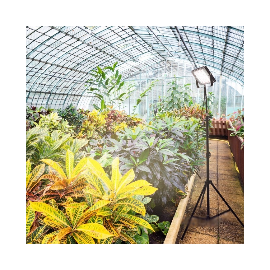 LED projektør med stativ til plantevækst FIRON LED/45W/230V IP54 sort