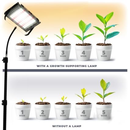 LED projektør med stativ til plantevækst FIRON LED/45W/230V IP54 sort