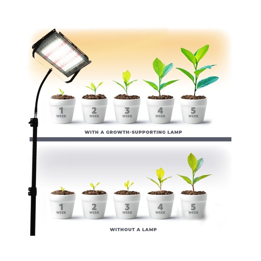 LED projektør med stativ til plantevækst FIRON LED/45W/230V IP54 sort