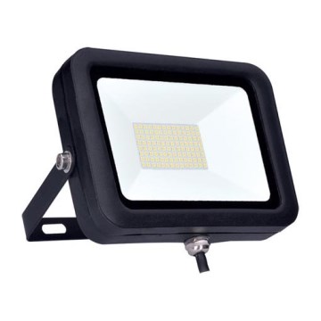 LED projektør PRO LED/100W/230V IP65