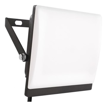 LED-projektør TAMBO EVO LED/30W/230V 4000K IP65 sort
