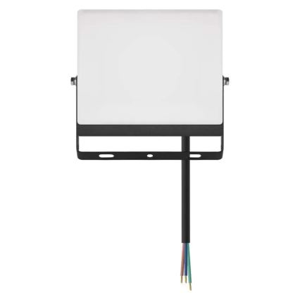 LED-projektør TAMBO EVO LED/30W/230V 4000K IP65 sort