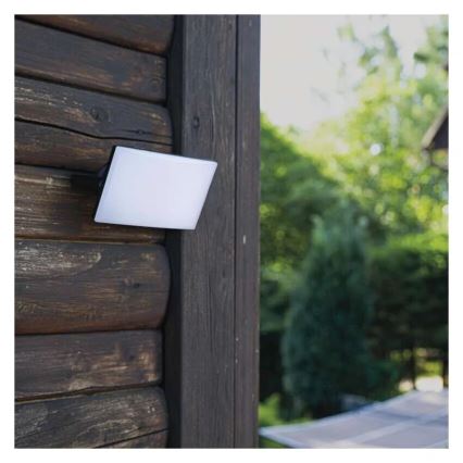 LED projektør TAMBO LED/10W/230V 4000K IP65