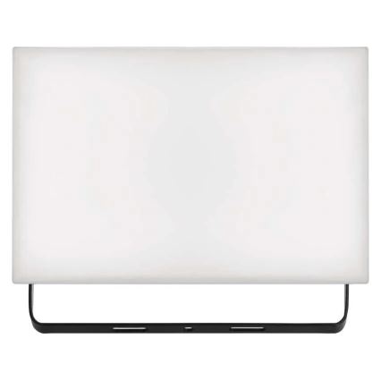 LED projektør TAMBO LED/50W/230V 4000K IP65