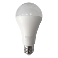 LED-pære A65 E27/18W/230V 4200K