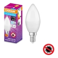 LED-pære antibakteriel B40 E14/4,9W/230V 6500K - Osram