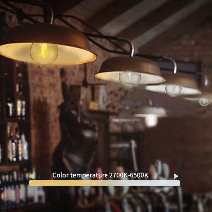 LED-pære dæmpbar FILAMENT G45 E27/4,5W/230V 2700-6500K Wi-Fi - Aigostar