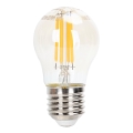 LED-pære dæmpbar FILAMENT G45 E27/4W/230V 2200K - Aigostar