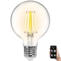 LED-pære dæmpbar FILAMENT G80 E27/6W/230V 2700-6500K Wi-Fi - Aigostar