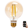 LED-pære dæmpbar FILAMENT MESH Smart G80 E27/6W/230V 2700-6500K - Aigostar
