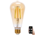 LED-pære dæmpbar FILAMENT MESH Smart ST64 E27/6W/230V 2700-6500K - Aigostar