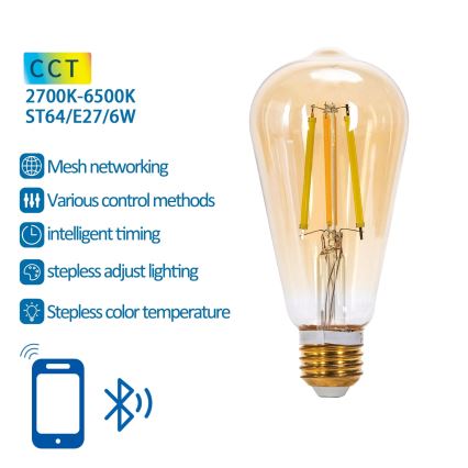 LED-pære dæmpbar FILAMENT MESH Smart ST64 E27/6W/230V 2700-6500K - Aigostar