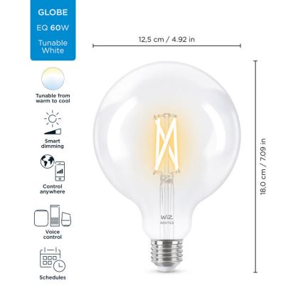 LED-pære dæmpbar FILAMENT G125 E27/7W/230V 2700-6500K CRI 90 Wi-Fi - WiZ