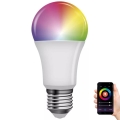 LED-pære dæmpbar RGB-farver GoSmart A60 E27/9W/230V 2700-6500K Tuya