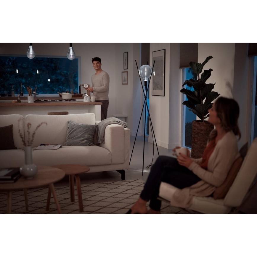 LED-pære dæmpbar SMOKY VINTAGE Philips E27/6,5W/230V 4000K
