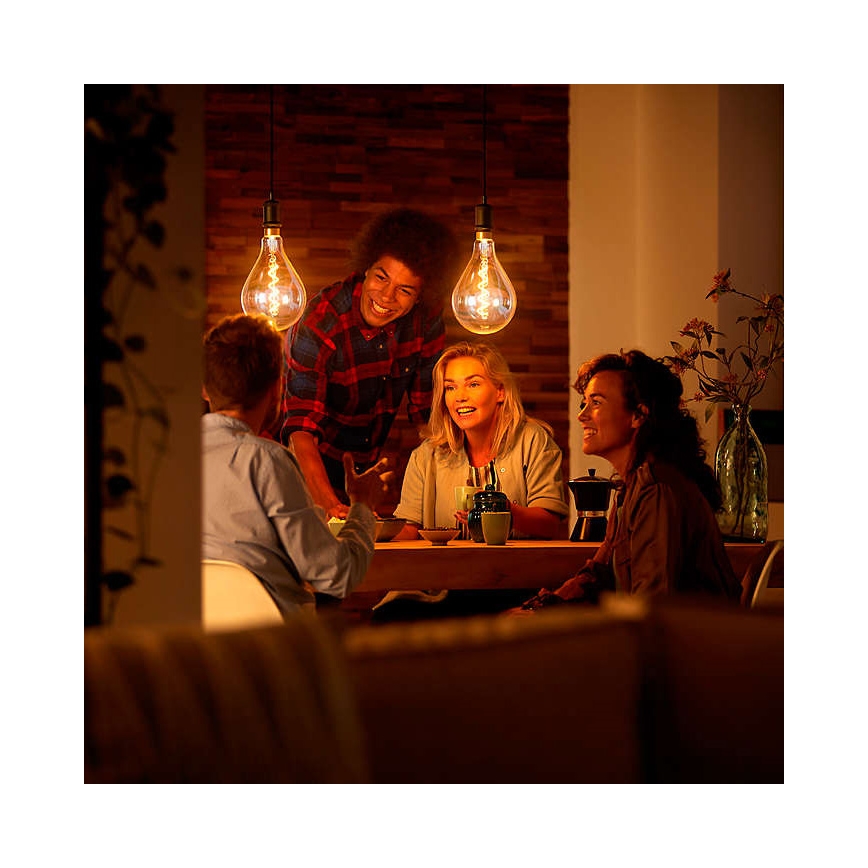 LED-pære dæmpbar VINTAGE DYI E27/4W/230V 2700K - Leuchten Direkt 0846
