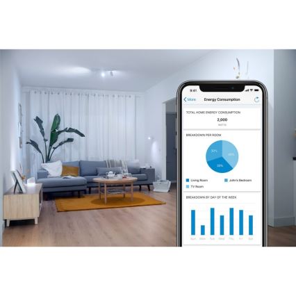 LED-pære dæmpbar VINTAGE FILAMENT G95 E27/6,7W/230V 2000-5000K CRI 90 Wi-Fi - WiZ
