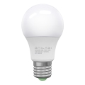 LED-pære ECOLINE A60 E27/10W/230V 4,000K - Brilagi