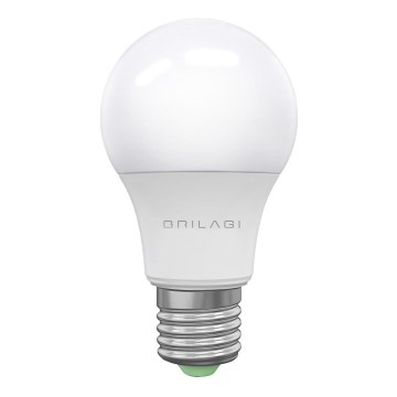 LED-pære ECOLINE A60 E27/15W/230V 6500K - Brilagi