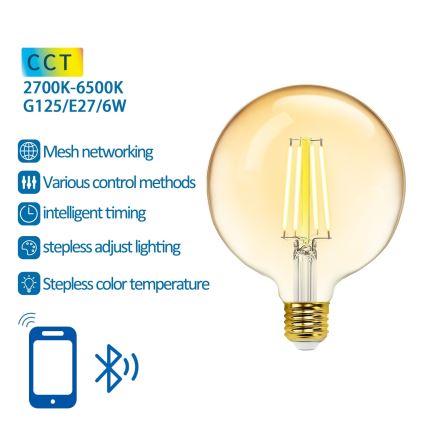 LED-pære dæmpbar FILAMENT MESH Smart G125 E27/6W/230V 2700-6500K - Aigostar