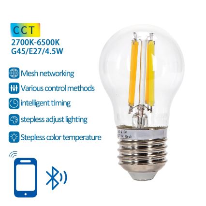 LED-pære dæmpbar FILAMENT MESH Smart G45 E27/4,5W/230V 2700-6500K - Aigostar