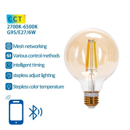 LED-pære dæmpbar FILAMENT MESH Smart G95 E27/6W/230V 2700-6500K - Aigostar