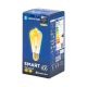 LED-pære FILAMENT ST64 E27/6W/230V 2700-6500K - Aigostar