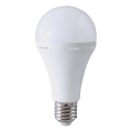 LED Pære med nødtilstand A90 E27/15W/230V 4000K