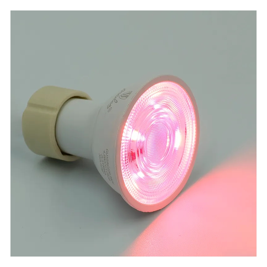 LED-pære med RGBW-farver dæmpbar GU10/4,5W/230V 2700-6500K Wi-Fi Tuya