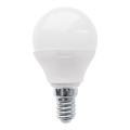 LED-pære P45 E14/3W/230V 3000K - Eglo 10819