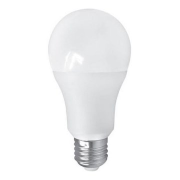 LED-pære PITT A60 AC/DC E27/12W/24V 4000K