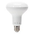 LED-pære R90 E27/15W/230V 6500K - Aigostar
