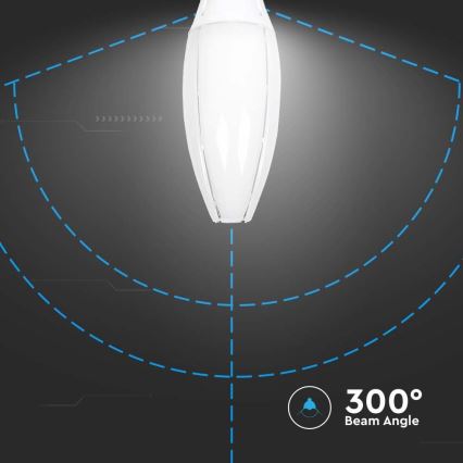LED-pære SAMSUNG CHIP E40/60W/230V 4000K