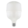 LED-pære T100 E27/30W/230V 6500K
