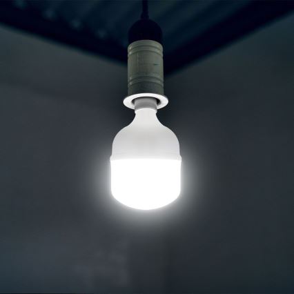 LED-pære T160 E40 E27/60W/230V 6500K