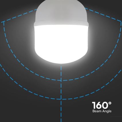 LED-pære T160 E40 E27/60W/230V 6500K