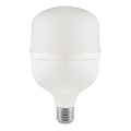 LED-pære T80 E27/20W/230V 4000K