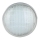 LED pære til swimmingpool LED/25W/12V IP68 6500K