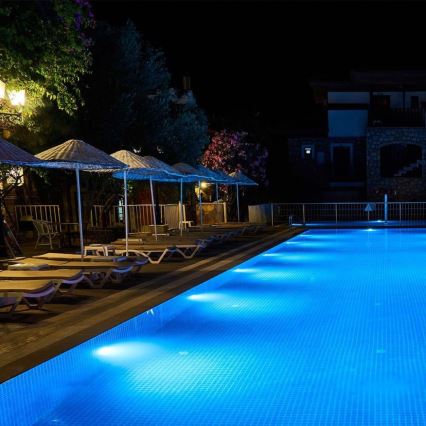 LED pære til swimmingpool LED/25W/12V IP68 6500K
