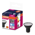 LED-pære VALUE PAR16 GU10/6,9W/230V 6500K 36° sort - Osram