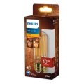 LED-pære VINTAGE Philips T32 E27/7W/230V 1800K